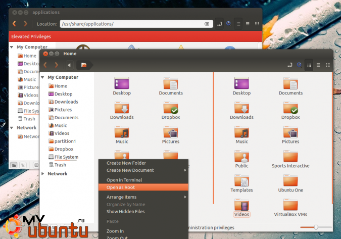 nemo-ubuntu