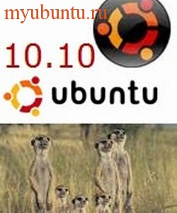 Платное программное обеспечение в Ubuntu 10.10 Maverick
