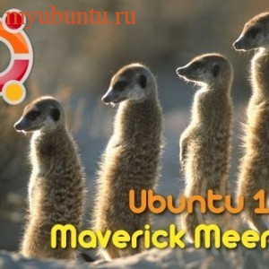 Вышла Ubuntu 10.10 Maverick Meerkat Beta