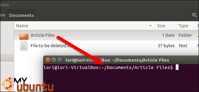 Как открыть терминал в выбранной папке в файловом менеджере Ubuntu