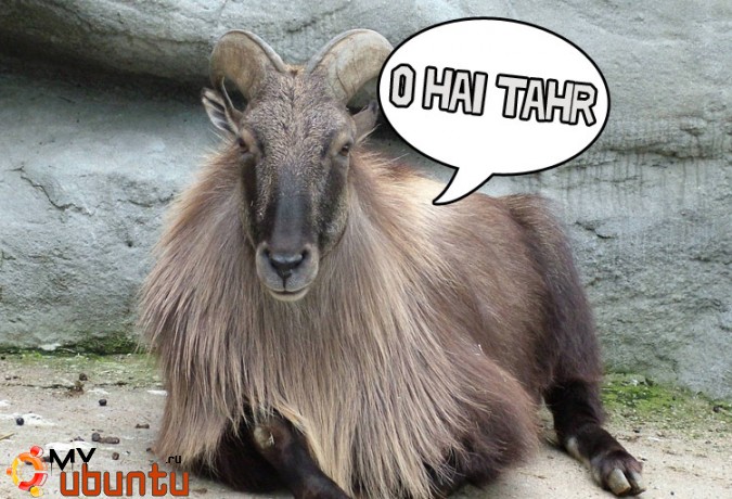 Вышли первые альфа-версии модификаций Ubuntu