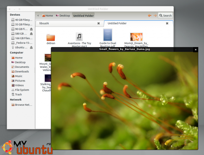Установка просмотровщика превью Sushi для GNOME в Ubuntu 11.10 Oneiric Ocelot